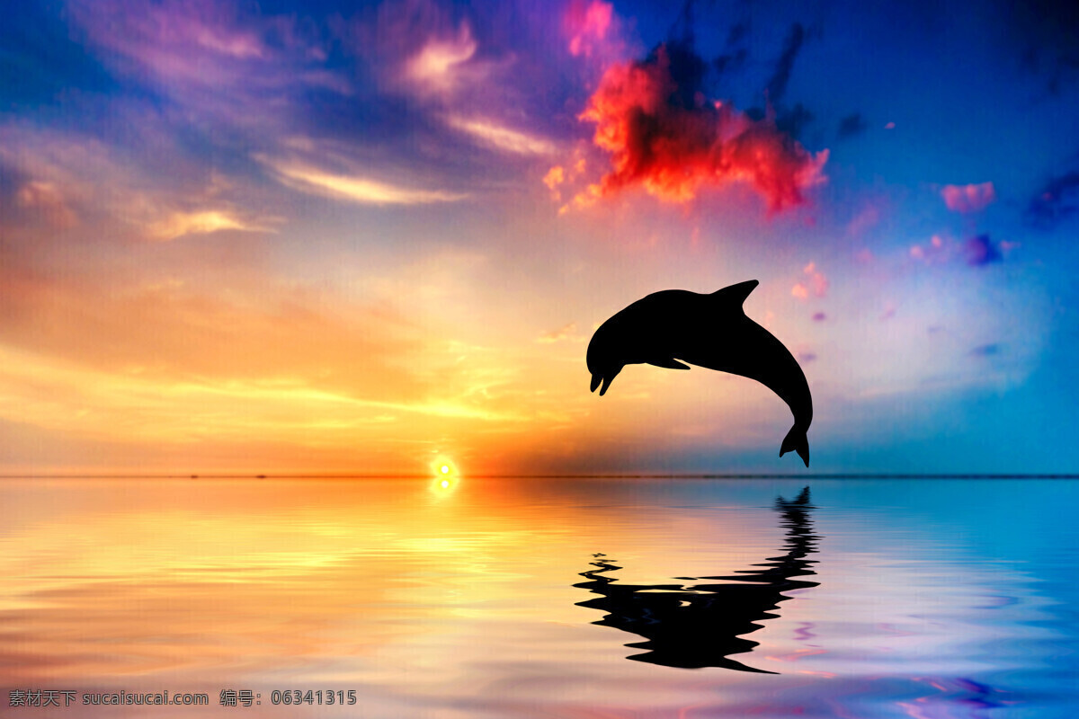 海面 上 跳跃 海豚 大海 蓝天 动物 大海图片 风景图片