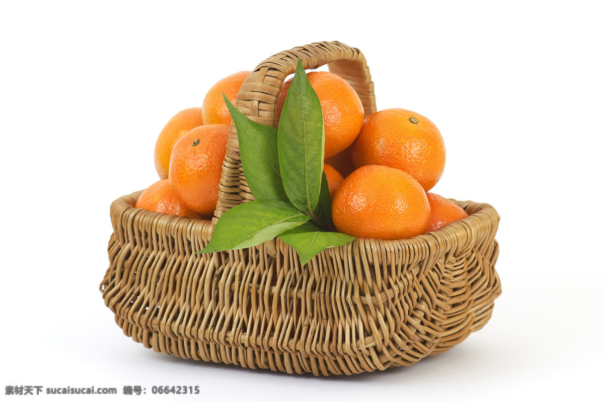 橘子 新鲜橘子 新鲜桔子 桔子采摘 美味 美食 食物 水果 果蔬 新鲜水果 美味水果 水果摄影 蜜桔 香橘 生物世界
