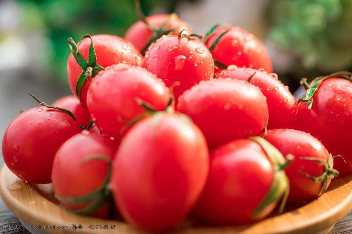 圣女果 番茄水果 水果番茄 西红柿 水果西红柿 有机水果 绿色水果 生物世界 水果