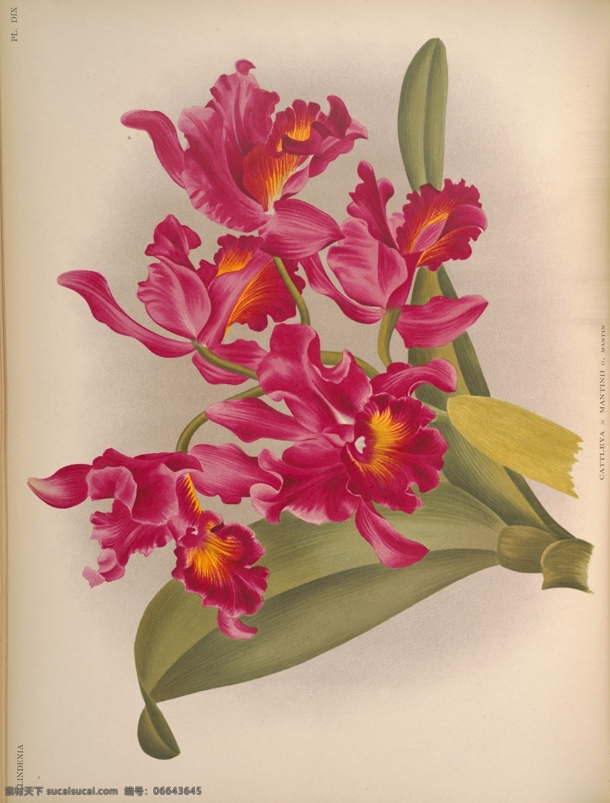 装饰画 欧美装饰画 手绘花卉 欧美画 植物 绘画 写实 卧室装饰画 餐厅装饰画 新中式水墨 三联画 风景装饰画 巨幅装饰画 山水装饰画 意境装饰画 大厅装饰画 背景墙装饰画 电视装饰画 墙面装饰画 背景墙 室内广告设计