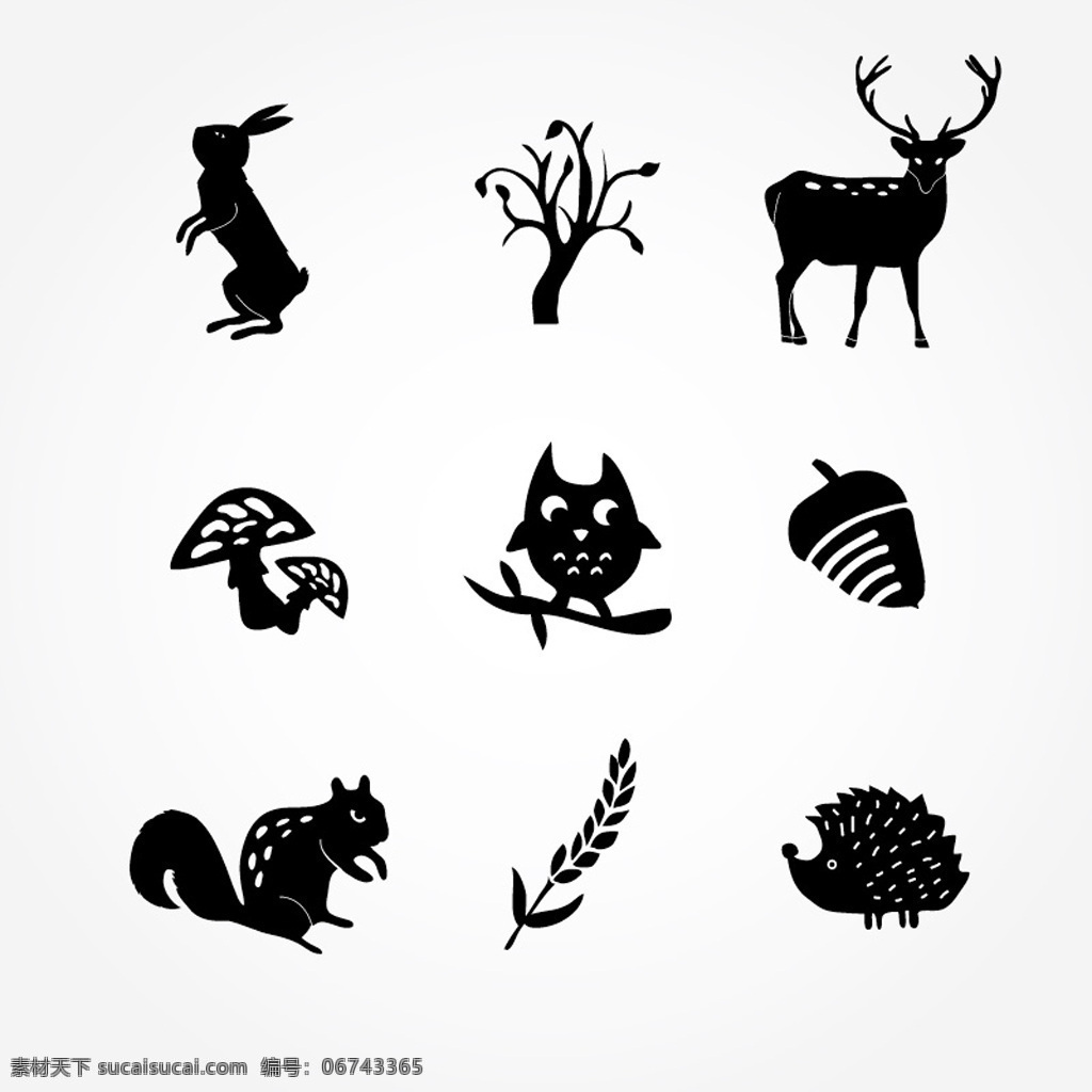 动植物 图标 矢量 动物 植物 兔子 松鼠 刺猬 剪影 猫头鹰 松果 白色