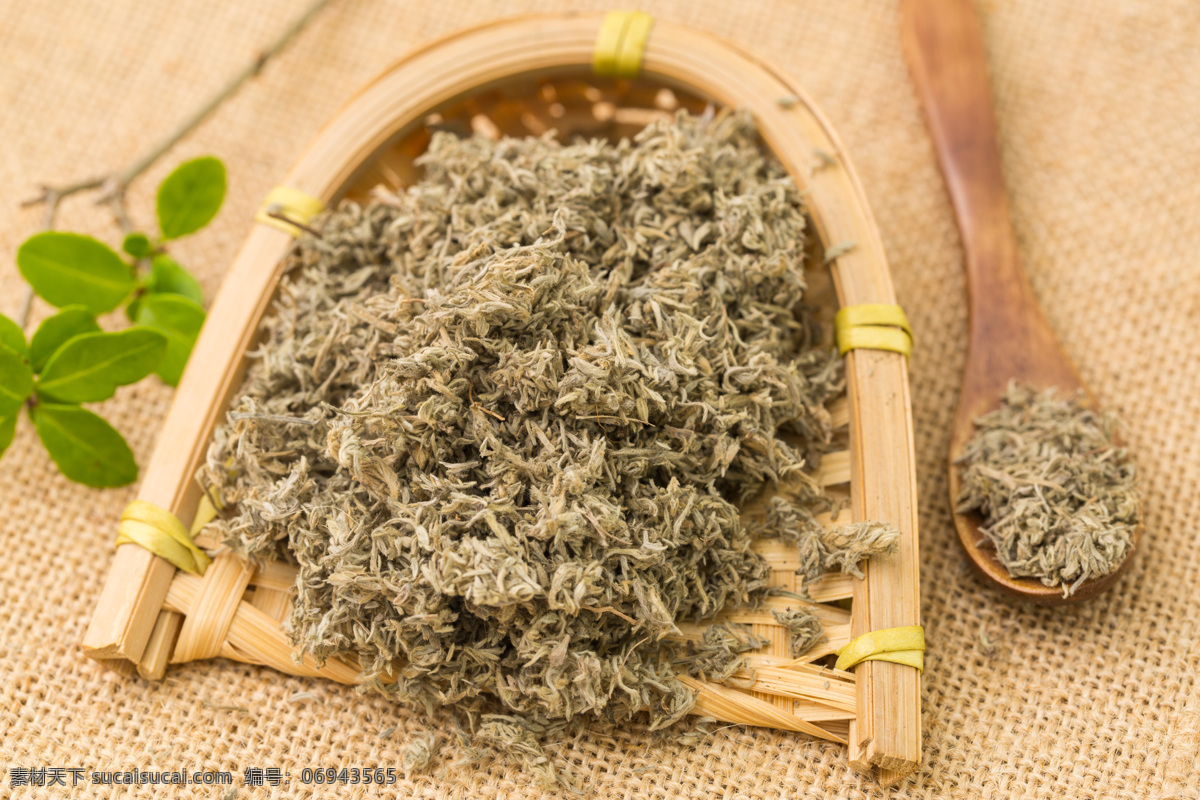 茵陈图片 茵陈 绵茵陈 茵陈蒿 白蒿 中药 中药材 中草药 药材