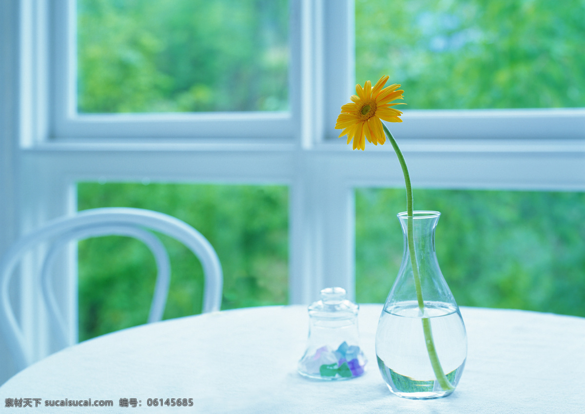 桌子 上 花瓶 室内摄影 静物摄影 摄影素材 淡雅 生活百科 静物 家居生活 家居 花朵 室内设计 环境家居