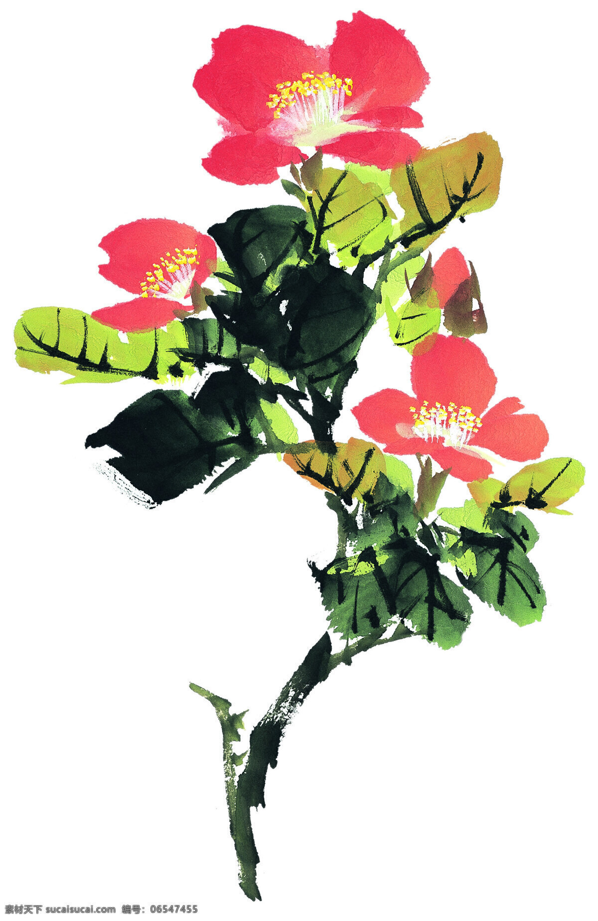 中国 花卉 艺术 高清 国画 绘画 水墨 鲜花 源文件 中国画 文化艺术