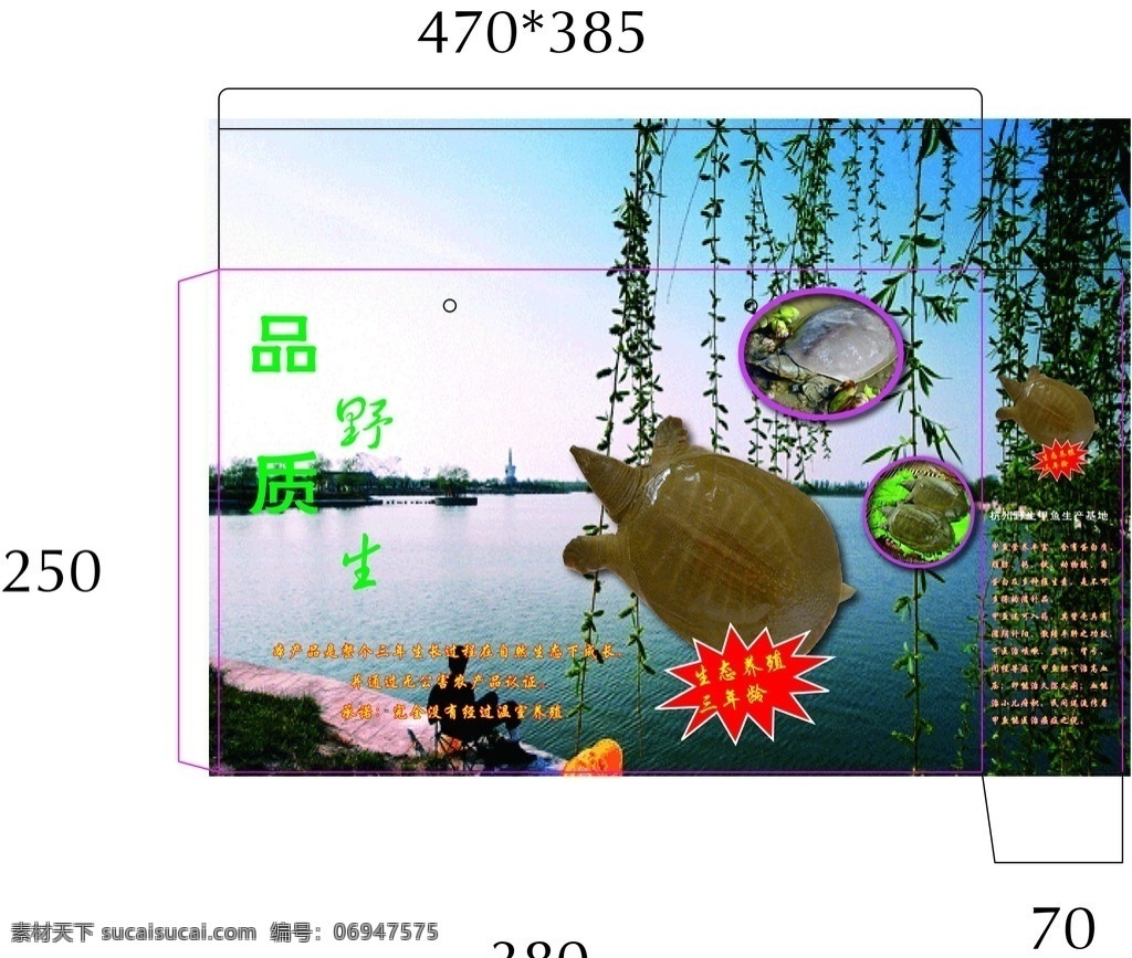 甲鱼盒 包装设计 矢量