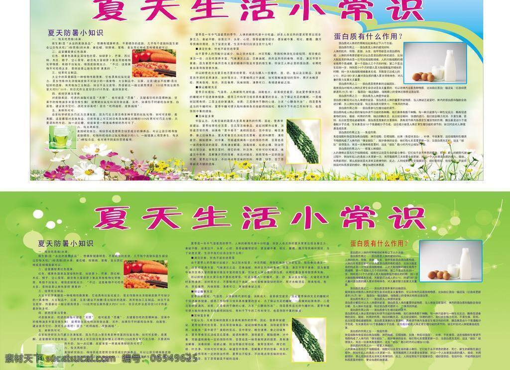 夏天 生活 小常 识 展板模板 防暑小常识 矢量 其他展板设计