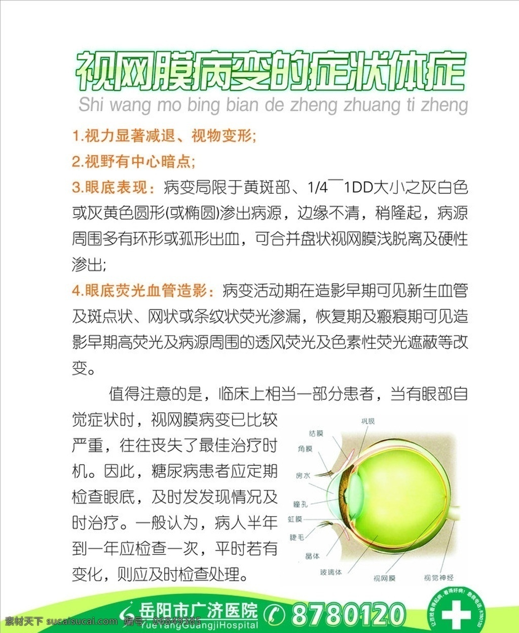 视网膜 眼科 医院 广济医院 矢量
