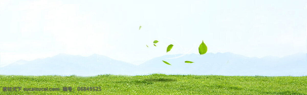 清新 绿色 树叶 banner 背景 绿色草地
