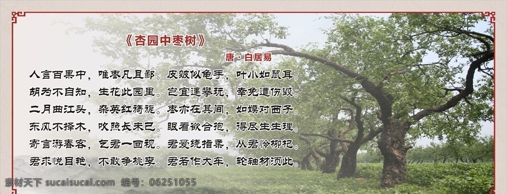 杏园中枣树 枣树 枣子 白居易 枣林 中国风展板 中式边框 诗词 展板设计