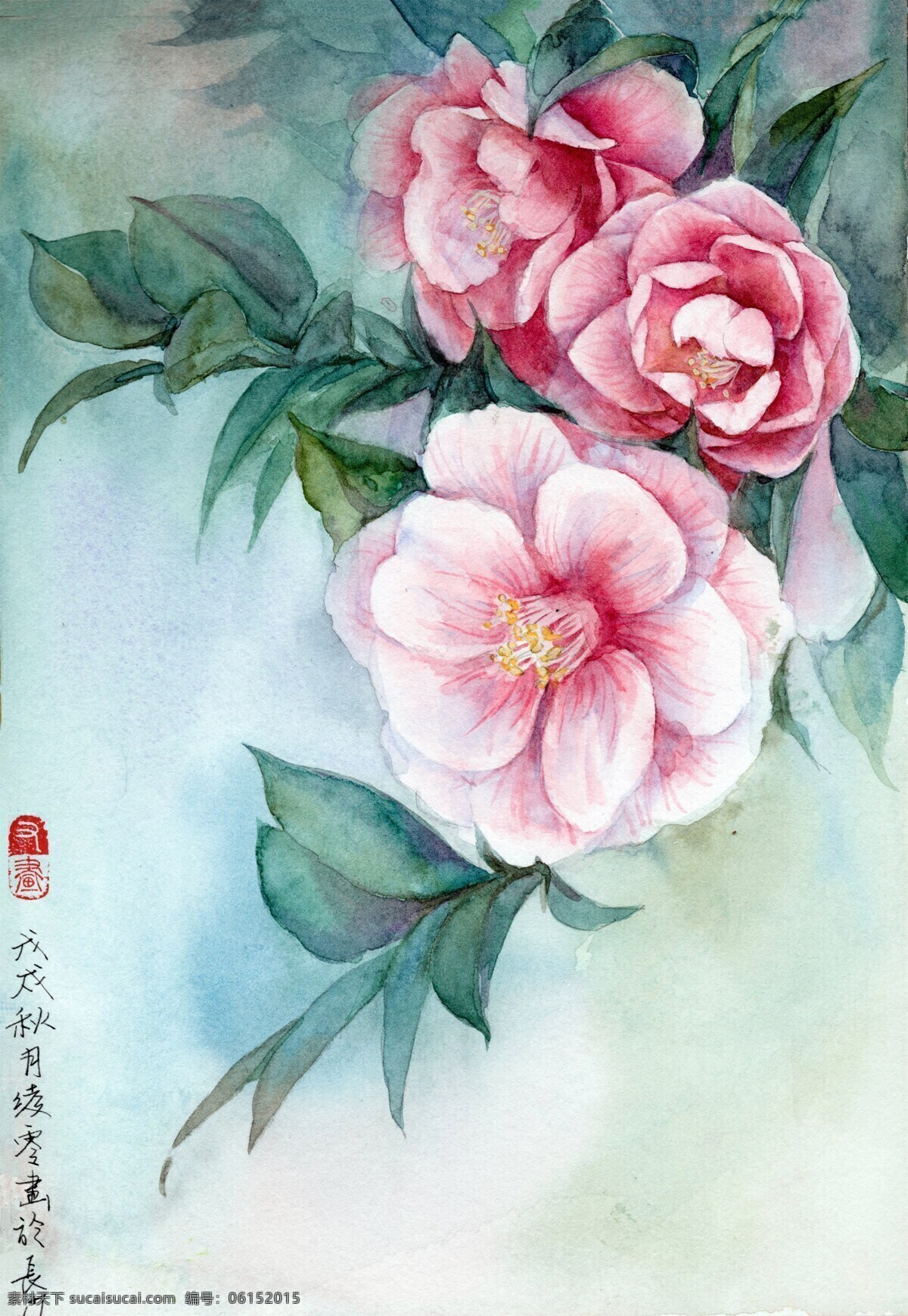 水彩 花卉 山茶花 绘画 手绘 写实 写生 颜料 新手教程 水彩画入门 上色 初学者 风景 植物 钢笔淡彩 铅笔淡彩 装饰画 插画 漫画 又画 文化艺术 美术绘画