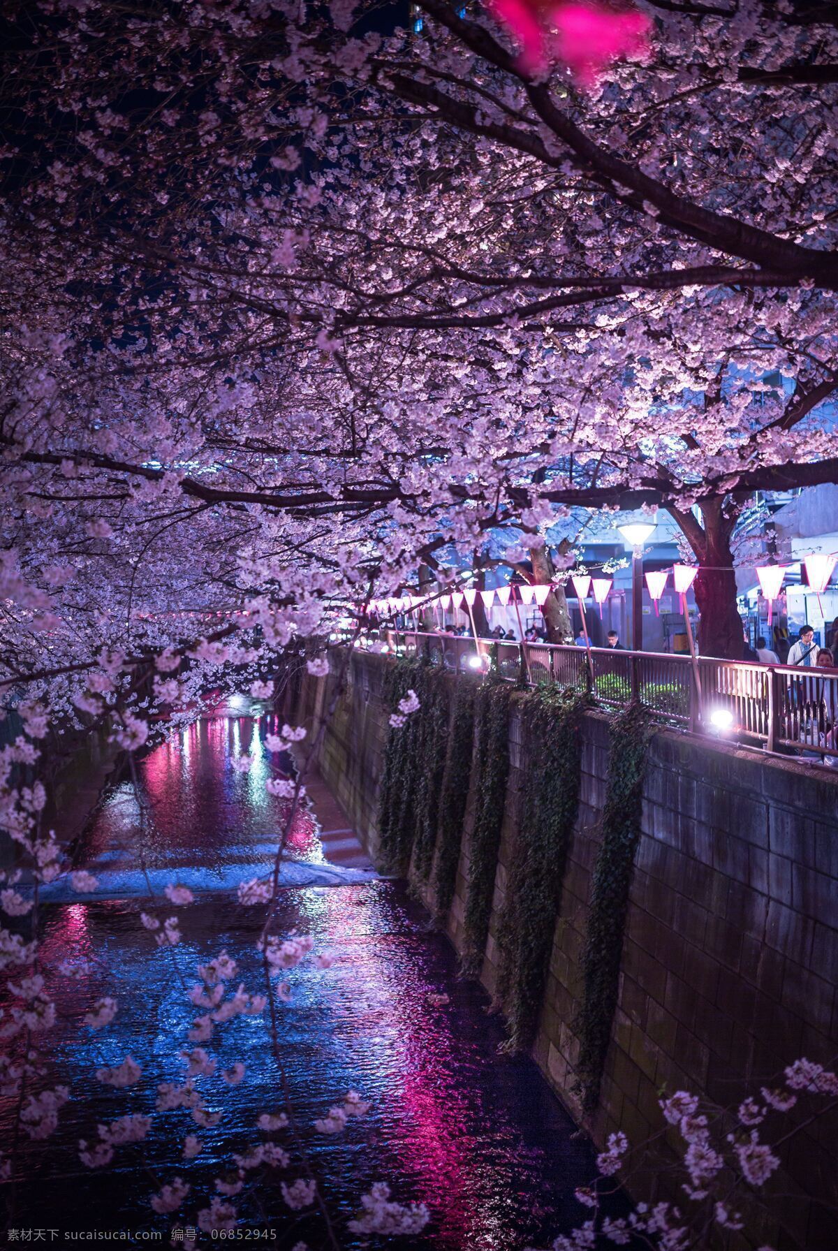 唯美 唯美樱花 樱花 粉色樱花 粉色背景 朦胧背景 鲜花背景 鲜花 生物世界 花草 樱花图片