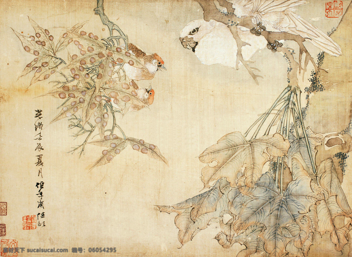 任伯年国画 美术 中国画 工清代国画 鹦鹉 小鸟 树木 果子 国画集126 文化艺术 绘画书法