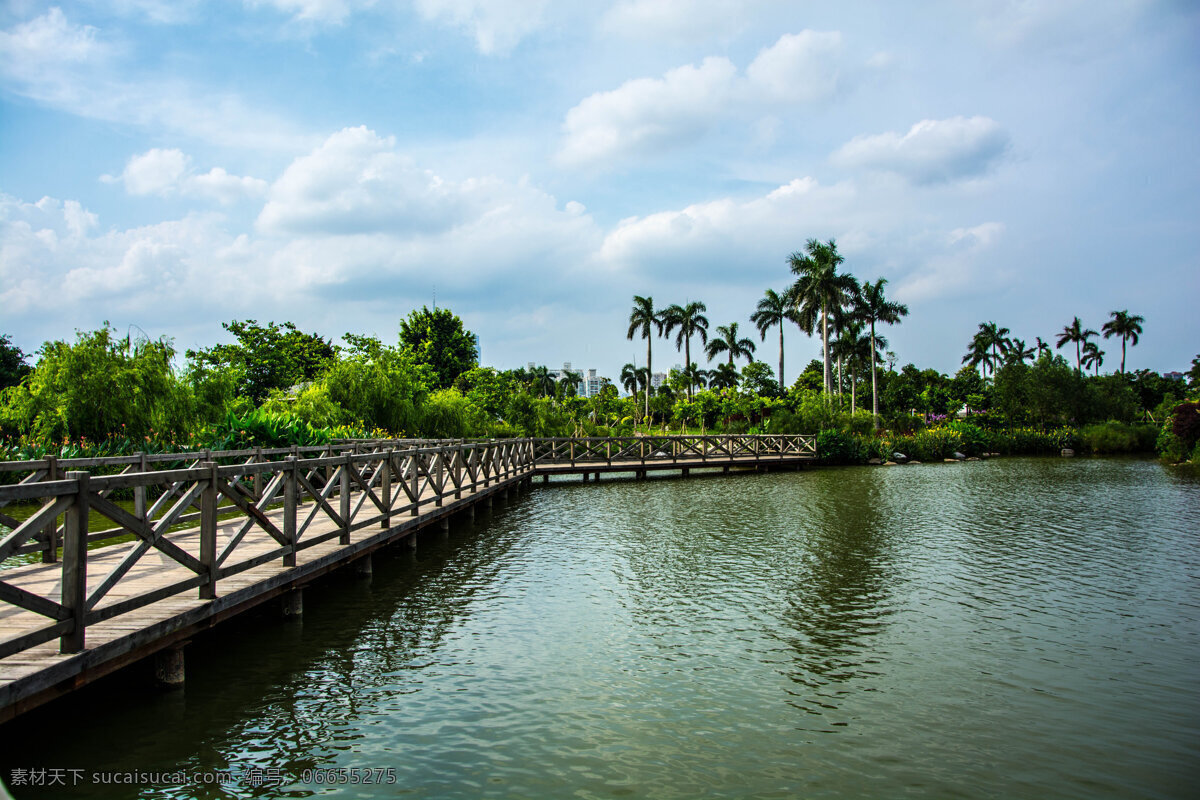 风光 海珠湖 自然 天空 湖水 自然景观 自然风景