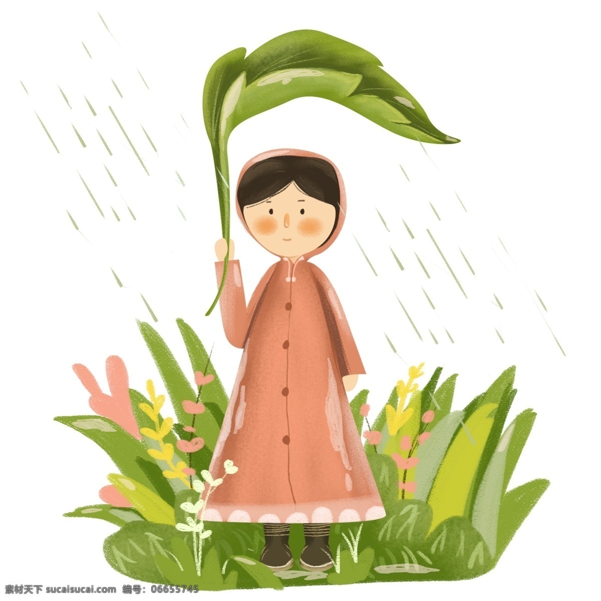 传统 二十四节气 雨水 时节 节气 季节 绿叶 传统节气 叶子 雨