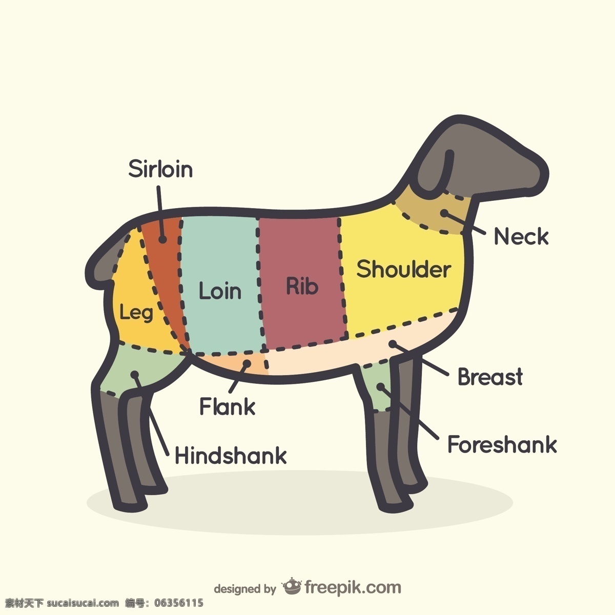 羊肉图 食品 动物 绵羊 图表 肉类 羔羊 屠夫 切割 原始 白色