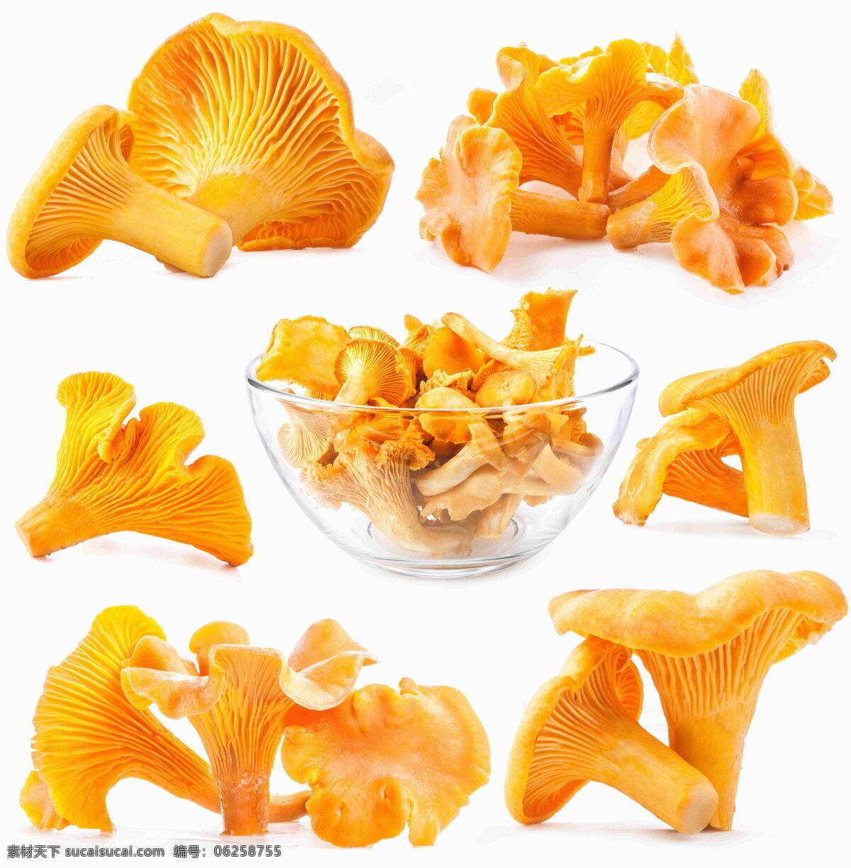 黄色蘑菇 黄色 蘑菇 食材 食物 干货 食用蘑菇 真菌 菌类 食用真菌 黄色美食 食物原料 餐饮美食