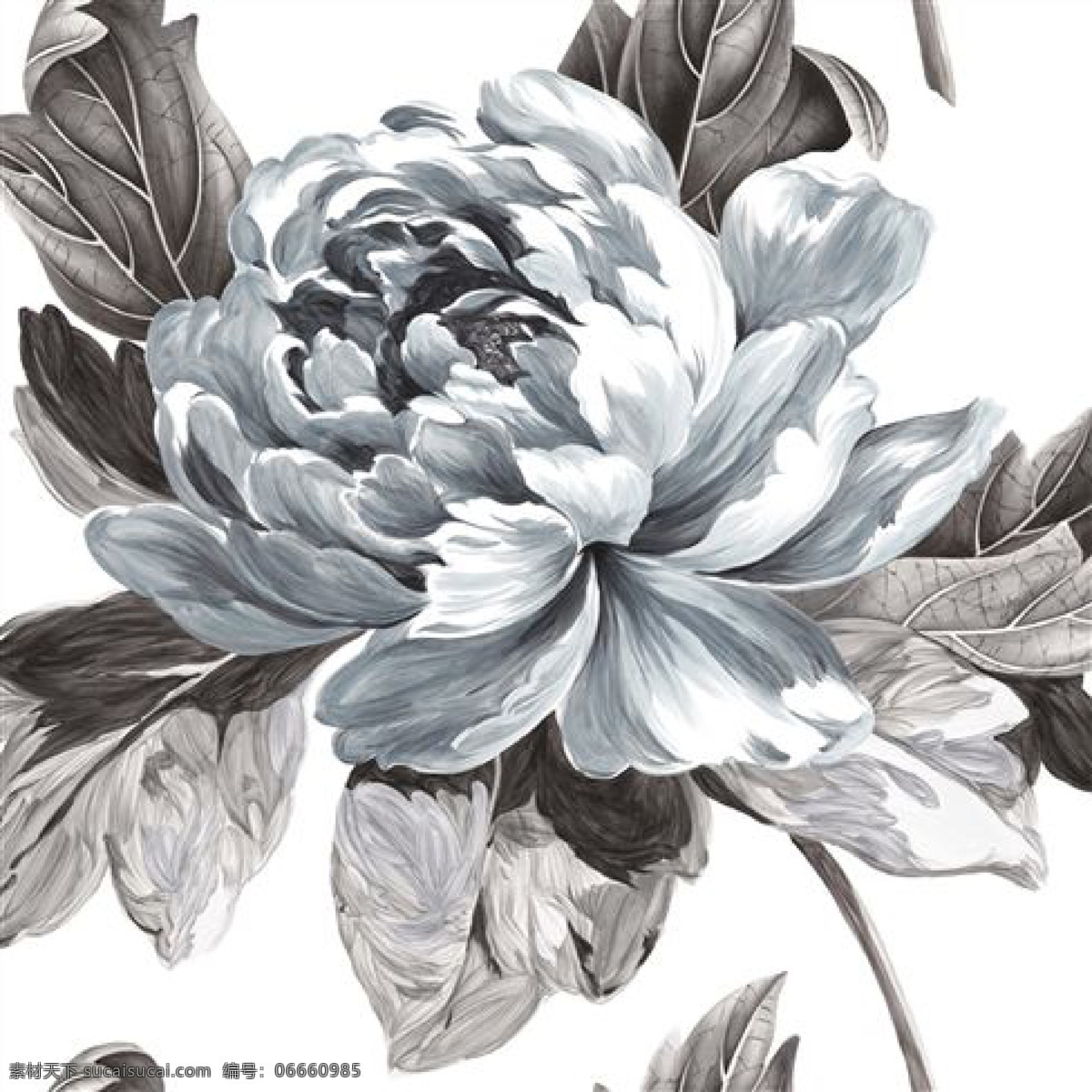 花朵图案花型 面料纹样 花朵素材 手绘 白色