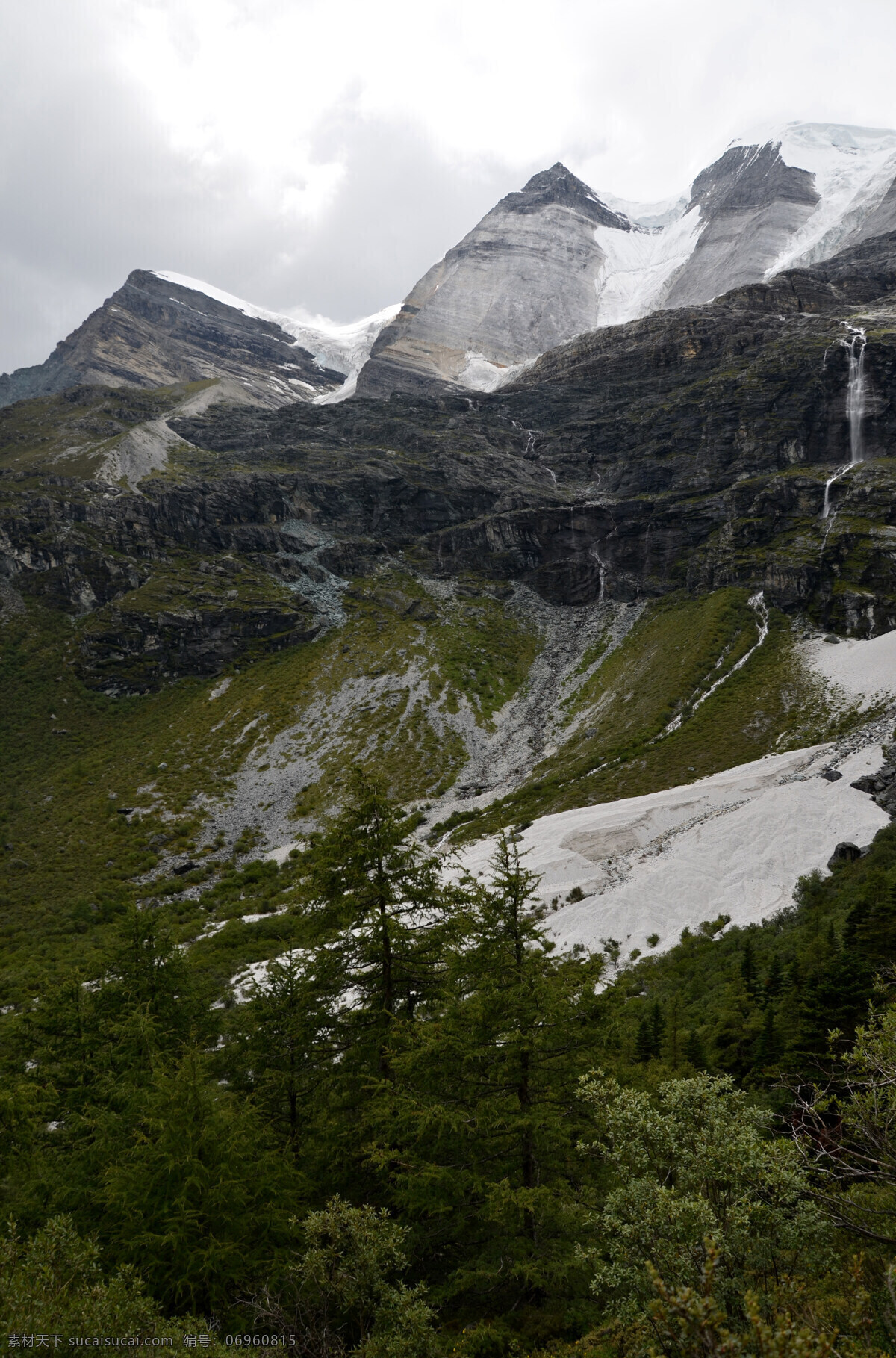 雪山 树木 远景 自然 稻城 自然景观 自然风景