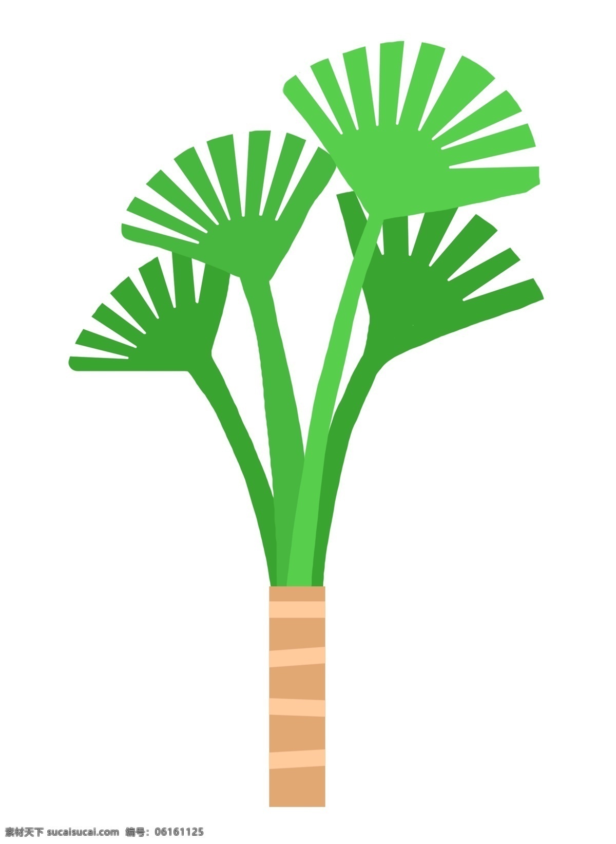 热带植物绿色 绿色 热带 植物