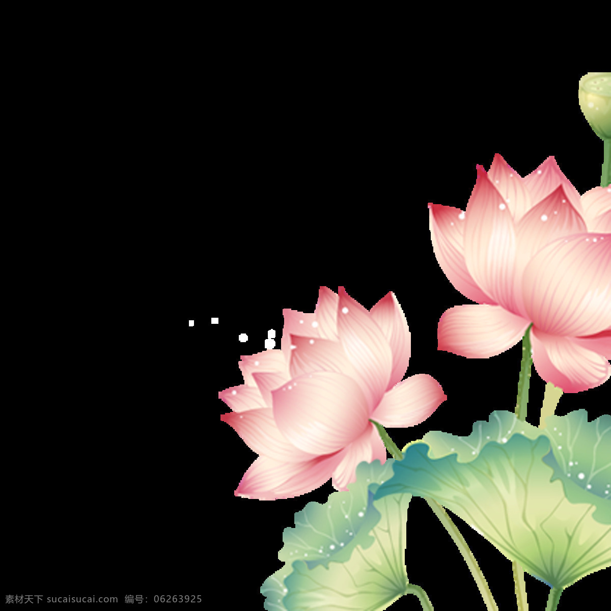 彩绘 荷花 图案 元素 抽象画 抽象艺术 复古花朵 古风荷花 莲蓬 手绘图案 水彩花朵 水彩画 水彩图案 水墨荷花 水墨画 印花图案 中国风
