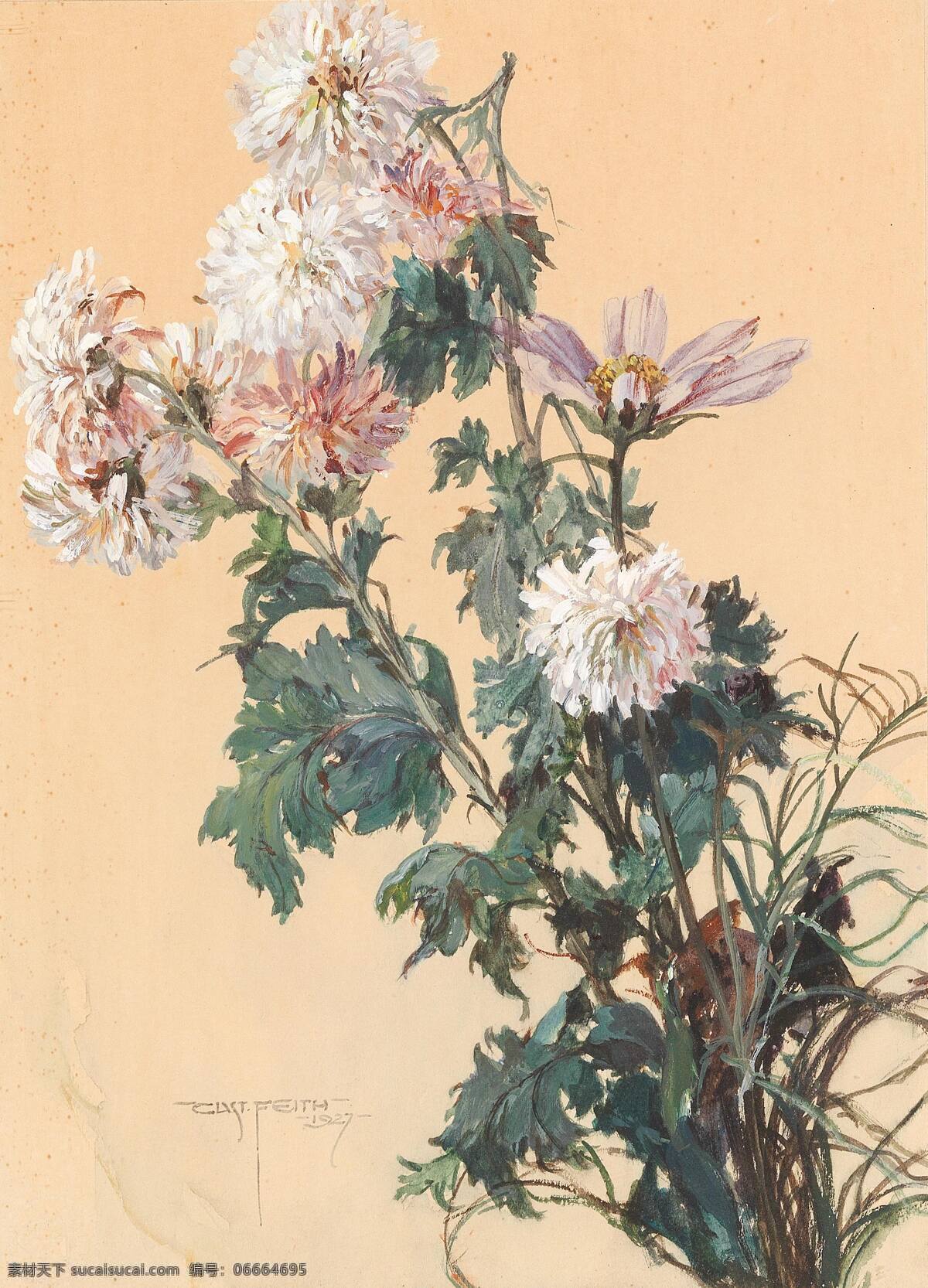 古斯塔夫 费斯作品 奥地利画家 静物鲜花 草甸花 盛开 世纪 水彩画 文化艺术 绘画书法