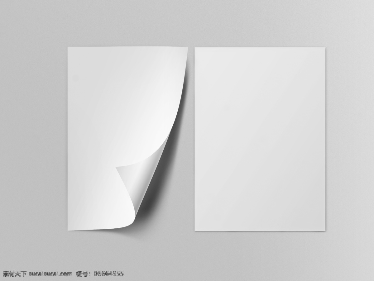 空白纸张样机 空白 纸张 样机 效果图 样机素材