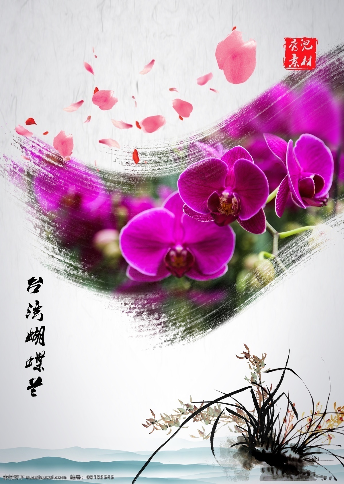 台湾蝴蝶兰 蝴蝶兰 水墨山水 山水 兰花 水墨兰花 花瓣 印章 水墨素材 水墨画 中国风素材 中国风 精美蝴蝶兰 白色