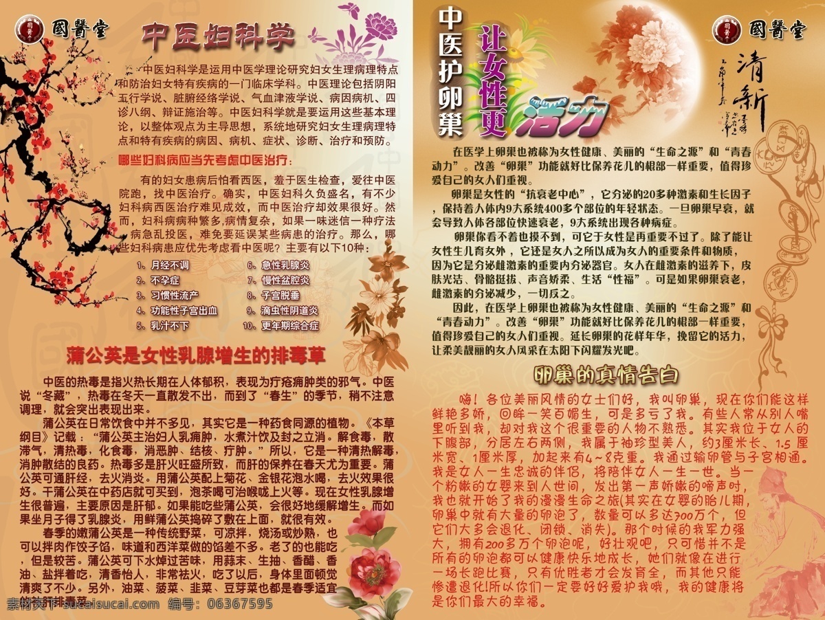 中医妇科 中医 中医院 妇科宣传册 花纹 花枝 dm宣传单 广告设计模板 源文件