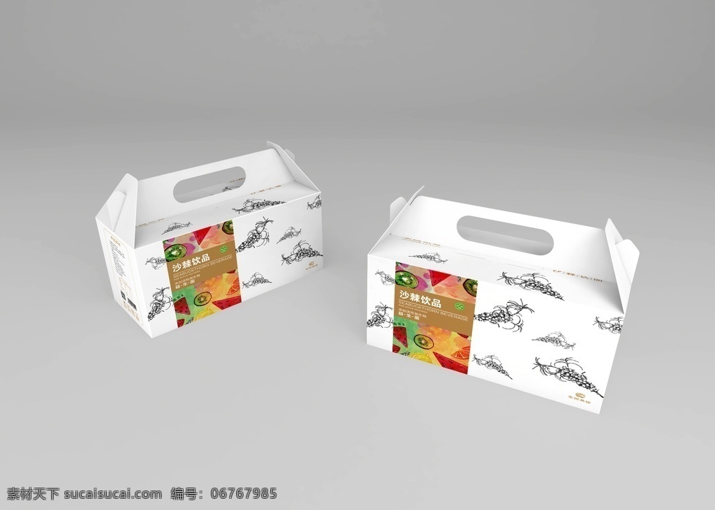 沙棘包装 沙棘 包装 食品 盒子 手绘 包装设计
