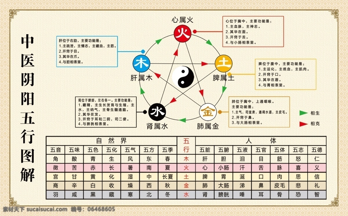 中医阴阳五行图解素材图片下载-素材编号06468605-素材天下图库