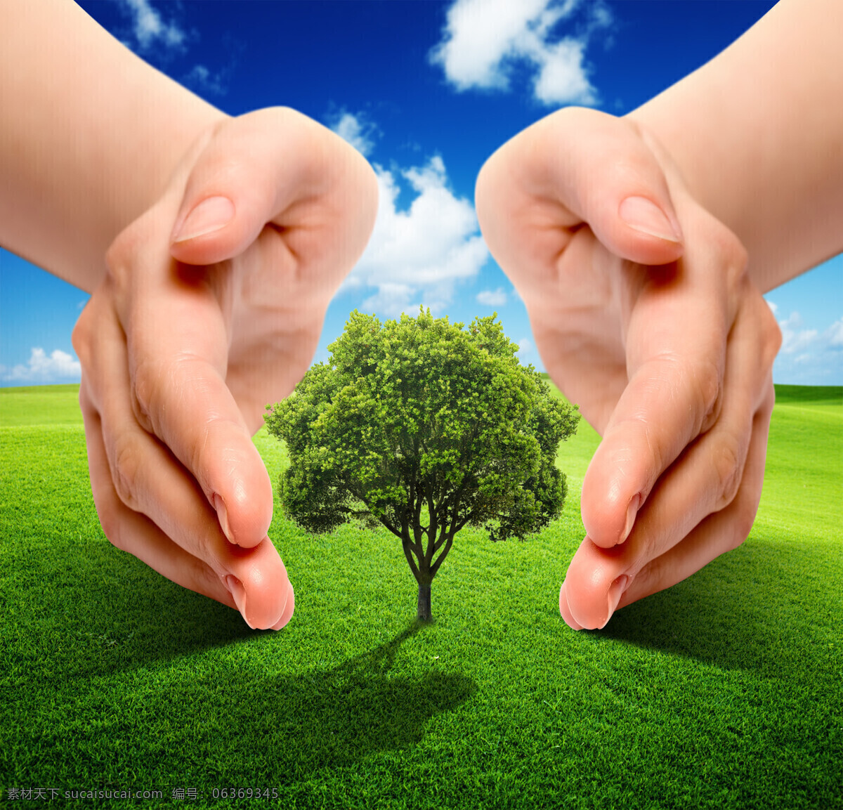 草地 爱护 树 双手 蓝天白云 手 保护地球 绿色环保 生态环保 节能环保 环保概念 其他类别 生活百科