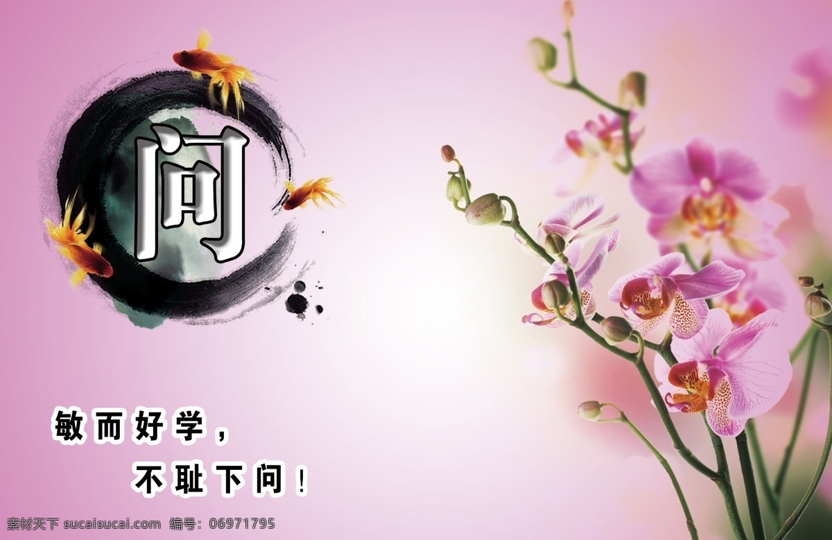 走廊 文化 问 标语口号 蝴蝶兰花 金鱼 墨迹 学校文化 展板 紫色背景 学校展板设计
