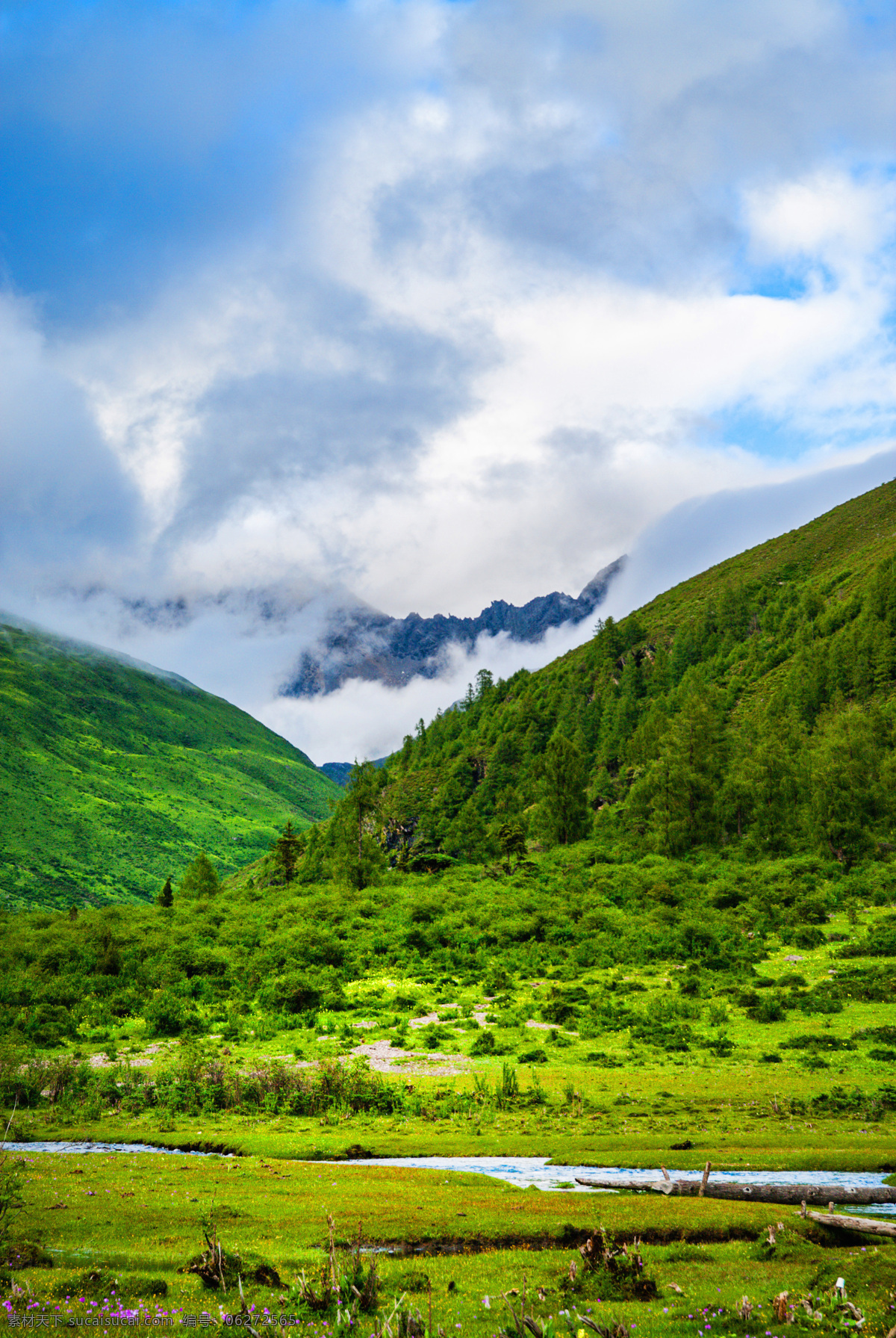 绿色山下 绿色 高山 平底 雪山 云 蓝天 自然景观 自然风景