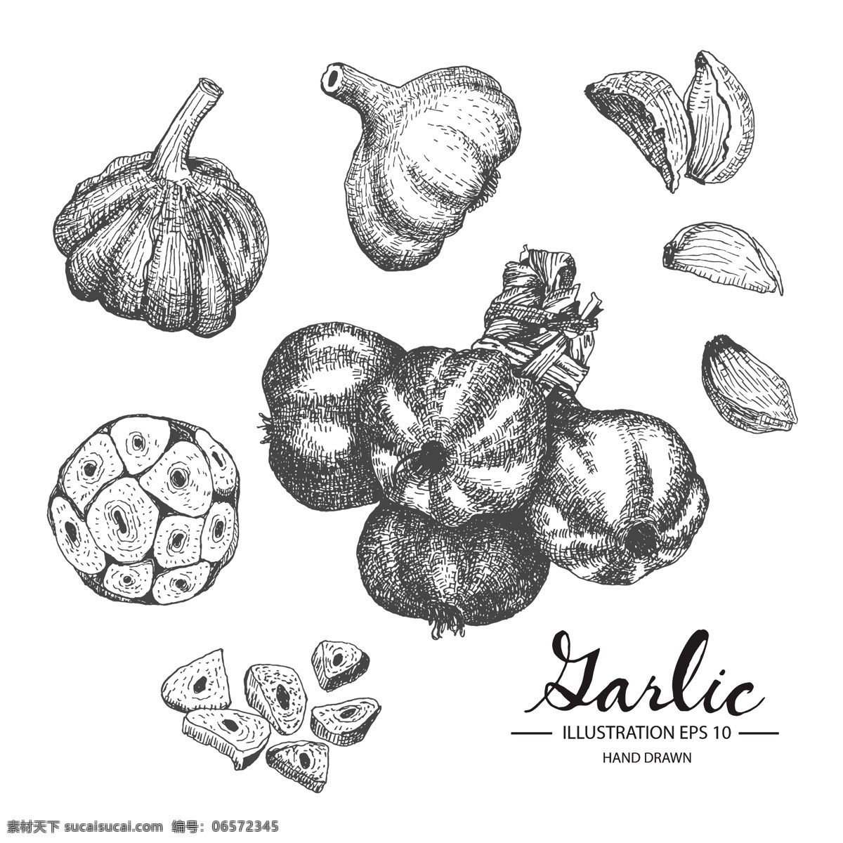 素描静物 素描水果 素描 香蕉 苹果 梨 西瓜 叶子 土豆 菠萝 素描蔬菜 素描叶子 矢量插画 文化艺术 绘画书法
