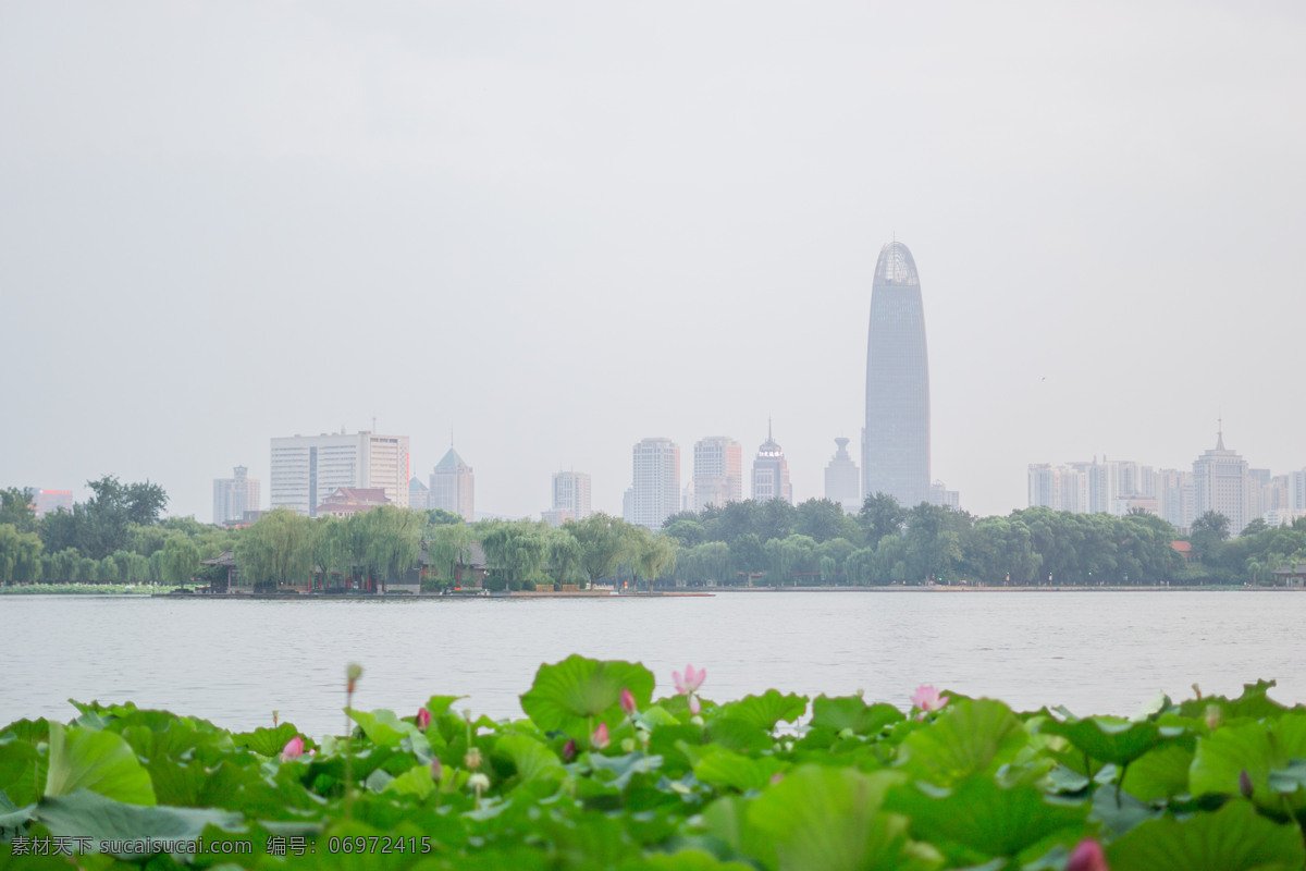 夏天 荷花 大明湖 济南 绿地中心 夏雨荷 旅游摄影 国内旅游