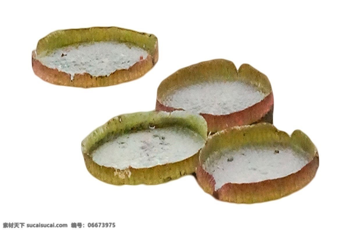 水生 花卉 四 盒 睡莲 一种种植技术 莲藕霸王莲 水生花卉 亚马逊 王 莲 种子 荷花 超大型 培养莲花苗