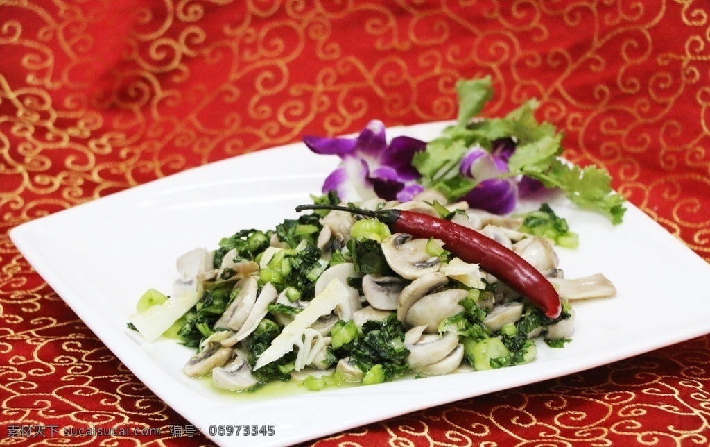抱腌菜炒蘑菇 蘑菇 抱腌菜 手捏菜 炒 素菜 蔬菜 美食 餐饮 餐饮美食 传统美食