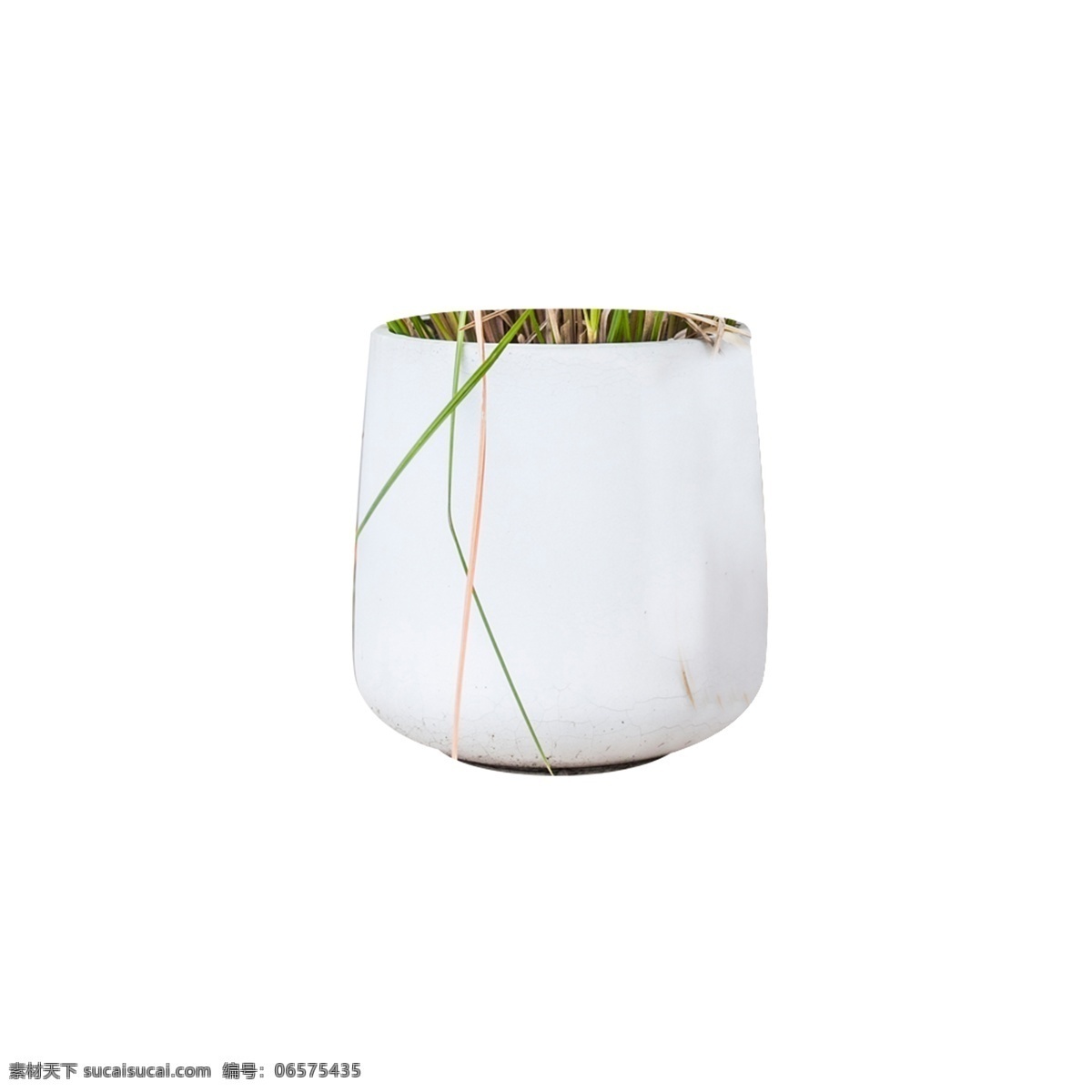 白色 圆柱 瓷器 元素 质感 装饰 纹理 叶子 生长 种植 花盆 意境 简约