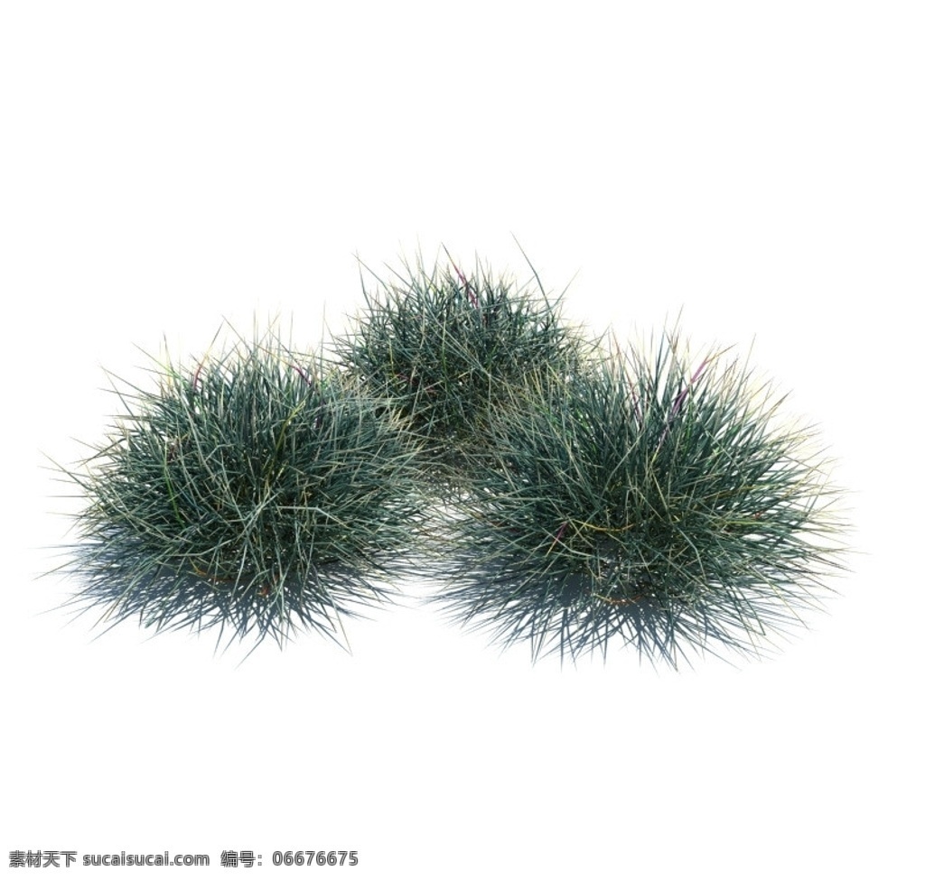 植物模型 小草模型 3d模型 室外模型 高品质模型 植物 草 模型 3d设计模型 源文件 max