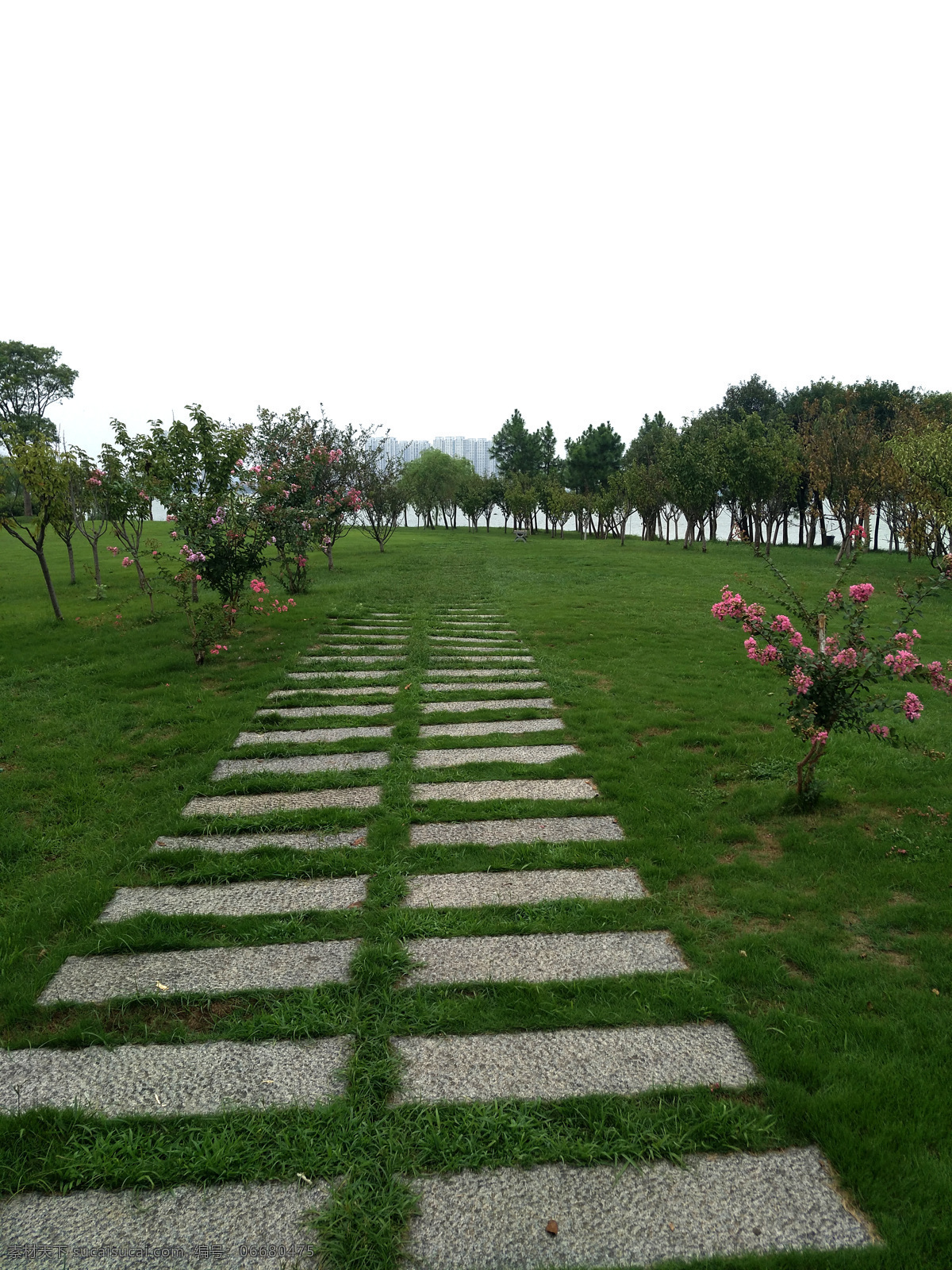 风景 石头小路 草地 自然风景 风景摄影图片 自然景观 田园风光