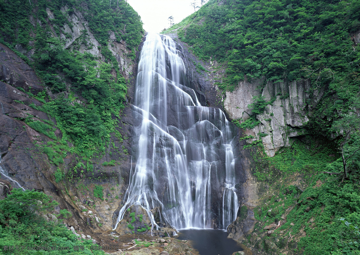 树免费下载 风景 山水风景 摄影图 树 植物 自然景观 水 家居装饰素材 山水风景画