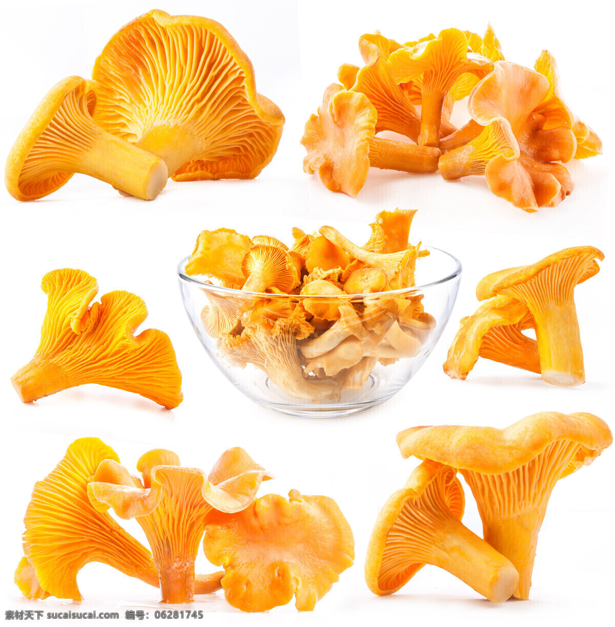 新鲜 蘑菇 食物 菌类 蘑菇图片 餐饮美食