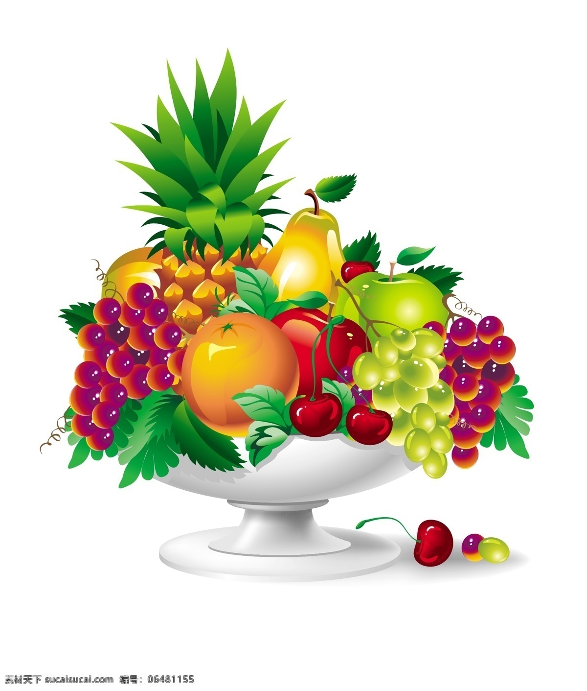 水果矢量图 樱桃 香蕉 葡萄 菠萝 苹果 矢量图 水果图 水果包装 新鲜水果 水果蛋糕 水果大全 盘子 动感水果 水果静物 生物世界 水果