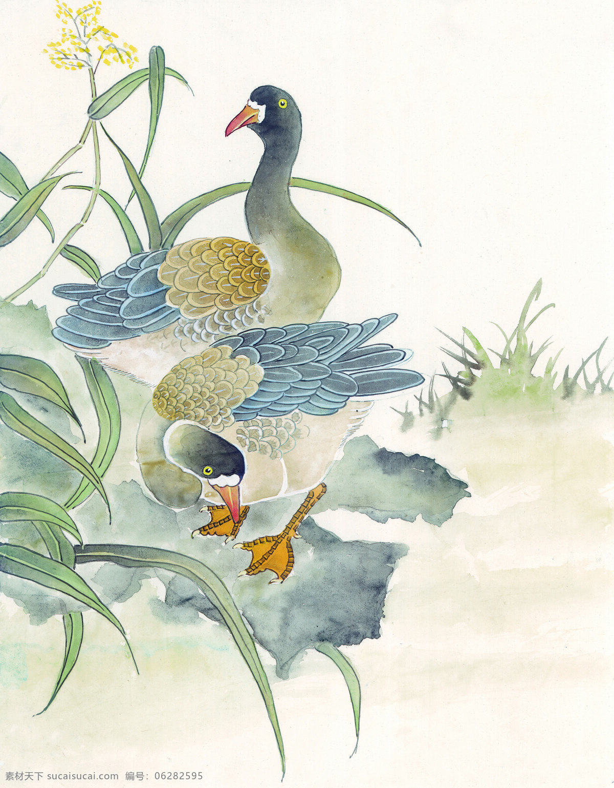 野鸭子 绘画 彩绘 古代艺术 鸭子 文化艺术