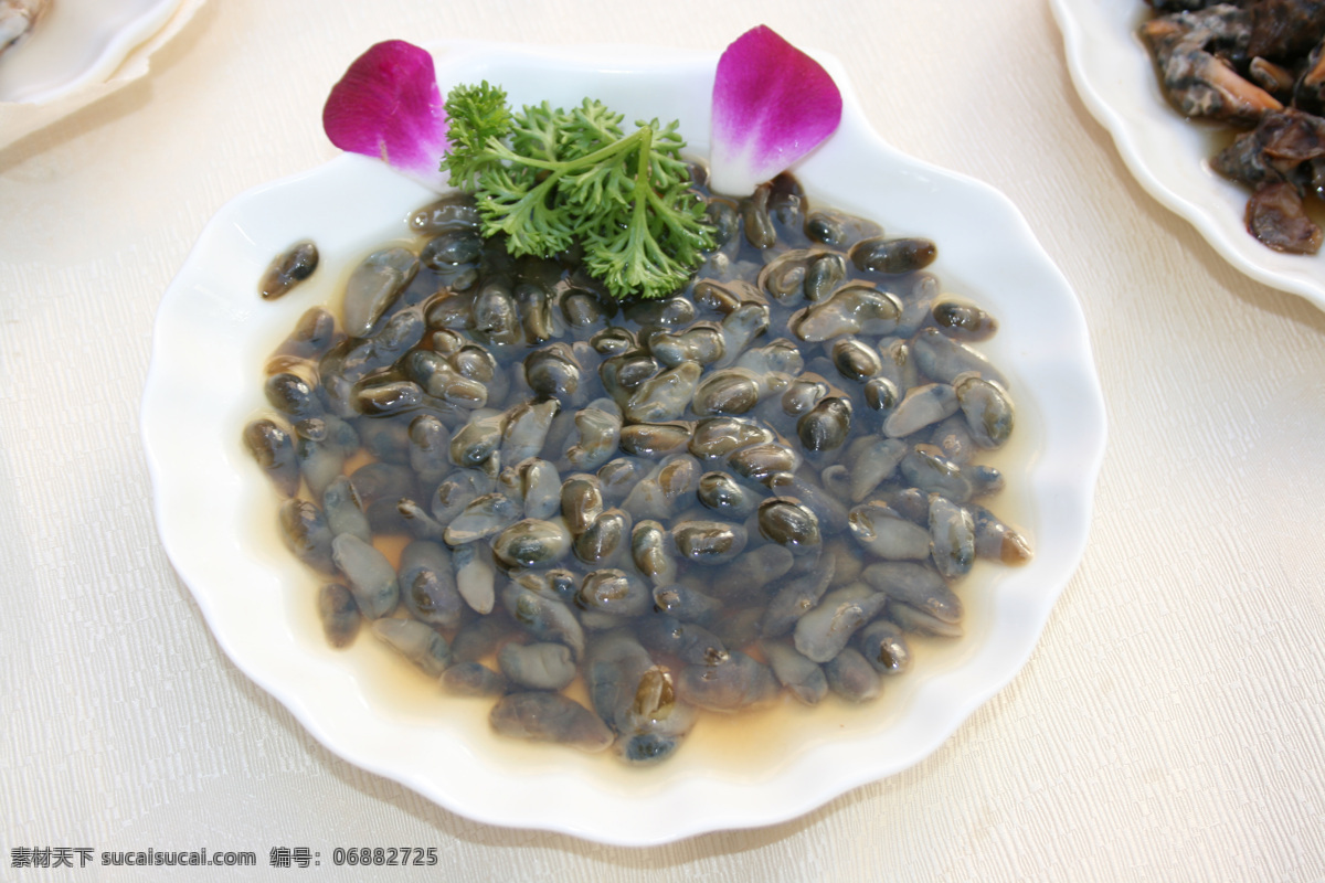泥螺 田螺 海鲜 河鲜 美味 美食 餐饮美食 传统美食 摄影图库
