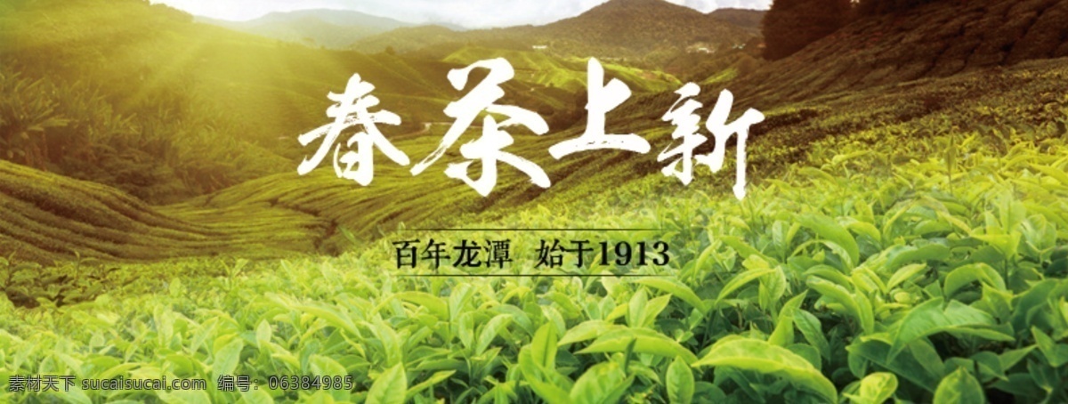 茶 茶园 茗茶 淘宝 广告 banner 淘宝海报 淘宝界面设计 龙潭 新茶上新 雨前新茶 信阳毛尖 龙潭茶叶 淘宝素材 淘宝促销海报