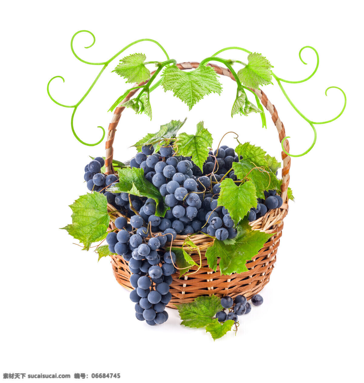 水果篮子 里 葡萄 紫葡萄 新鲜葡萄 新鲜水果 葡萄叶子 绿叶 果篮 水果蔬菜 餐饮美食 白色