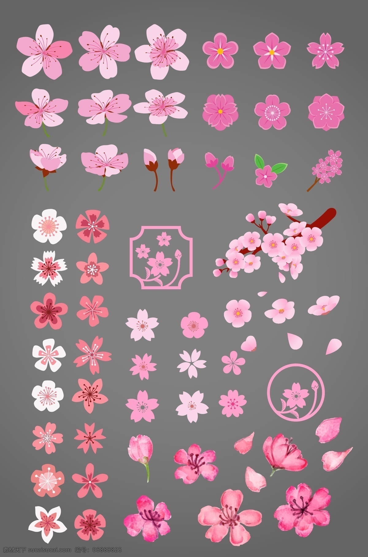 花朵图案 花朵元素 鲜花 美丽花朵 百花 春之花 粉红色花 粉红色元素 粉红