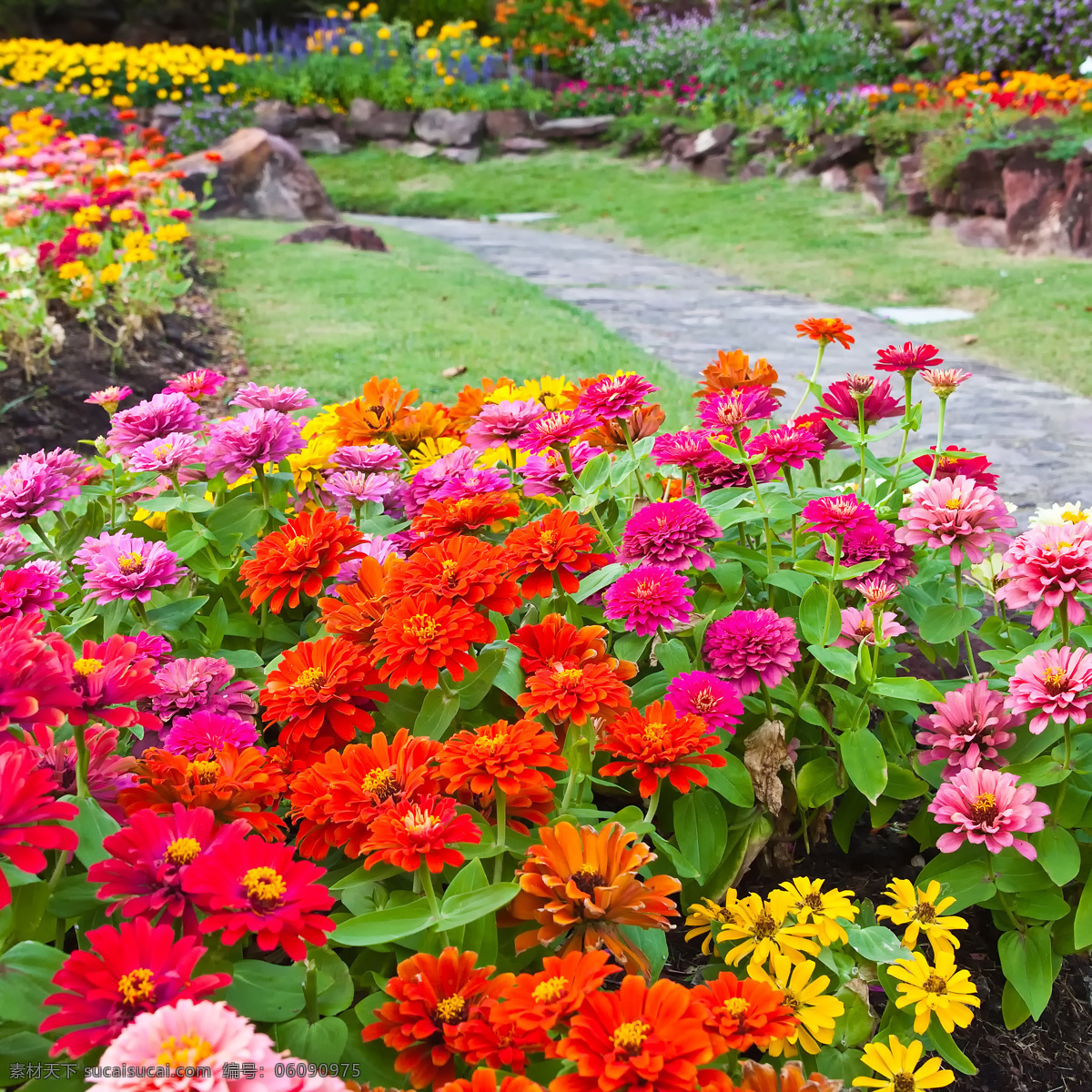 公园里的鲜花 花园 公园 美丽鲜花 美丽花朵 花卉 自然风景 自然景观 红色