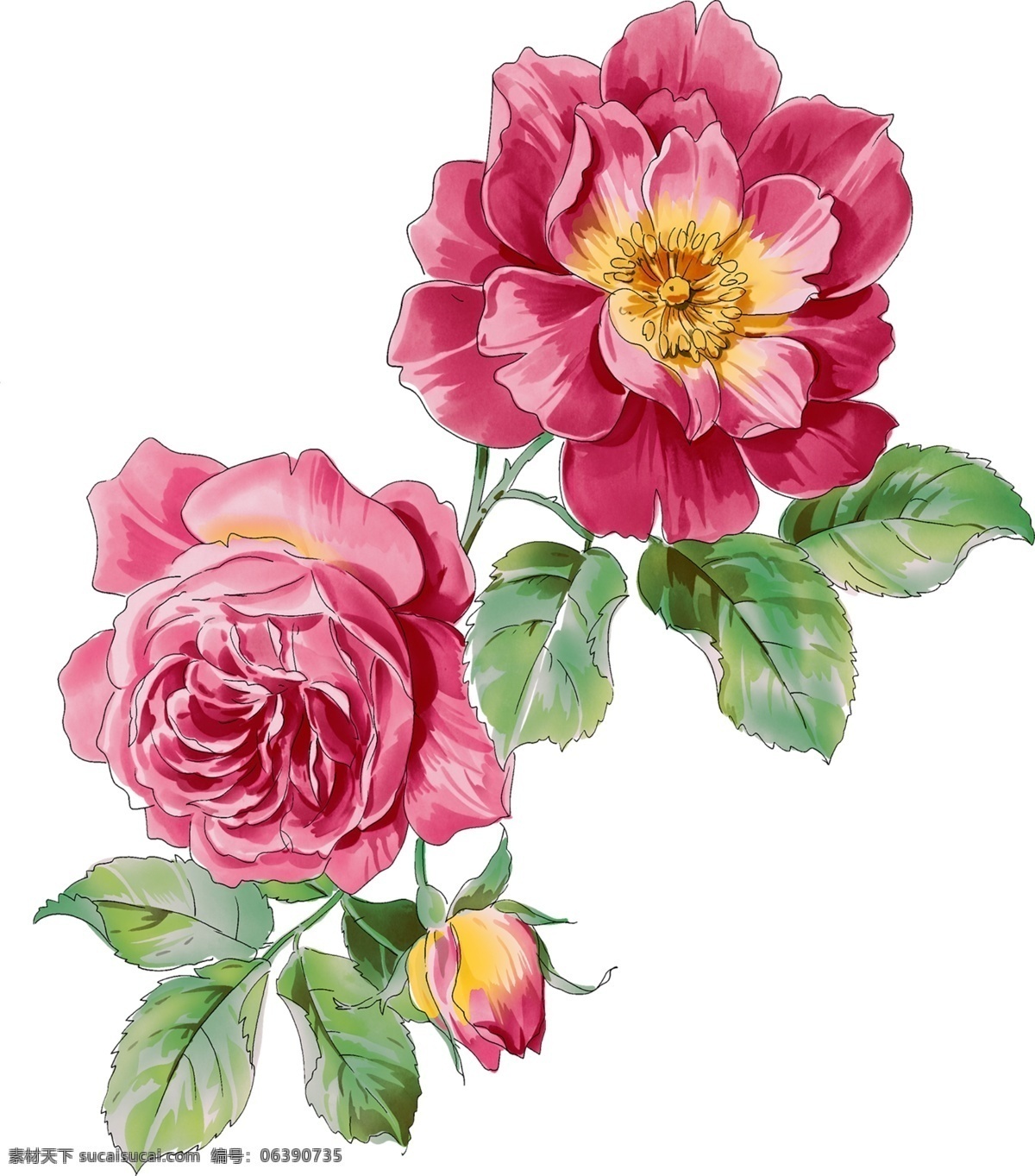 红色 手绘 牡丹花 插画 元素 花朵 小花 植物 装饰 牡丹 花